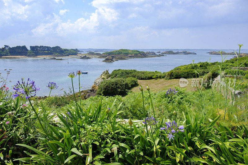 在法国布列塔尼Côtes d'Armor的Bréhat岛在夏天